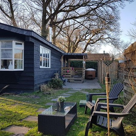 Chalet 2 Pers Met Hottub - Aan De Bosrand - Ijsselmeer - Gaasterland - Bos Rijs Luaran gambar